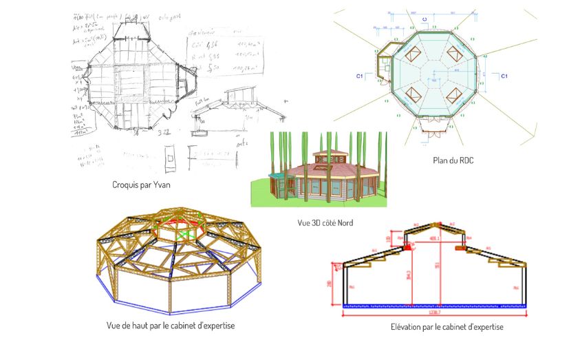 croquis dome vegetal