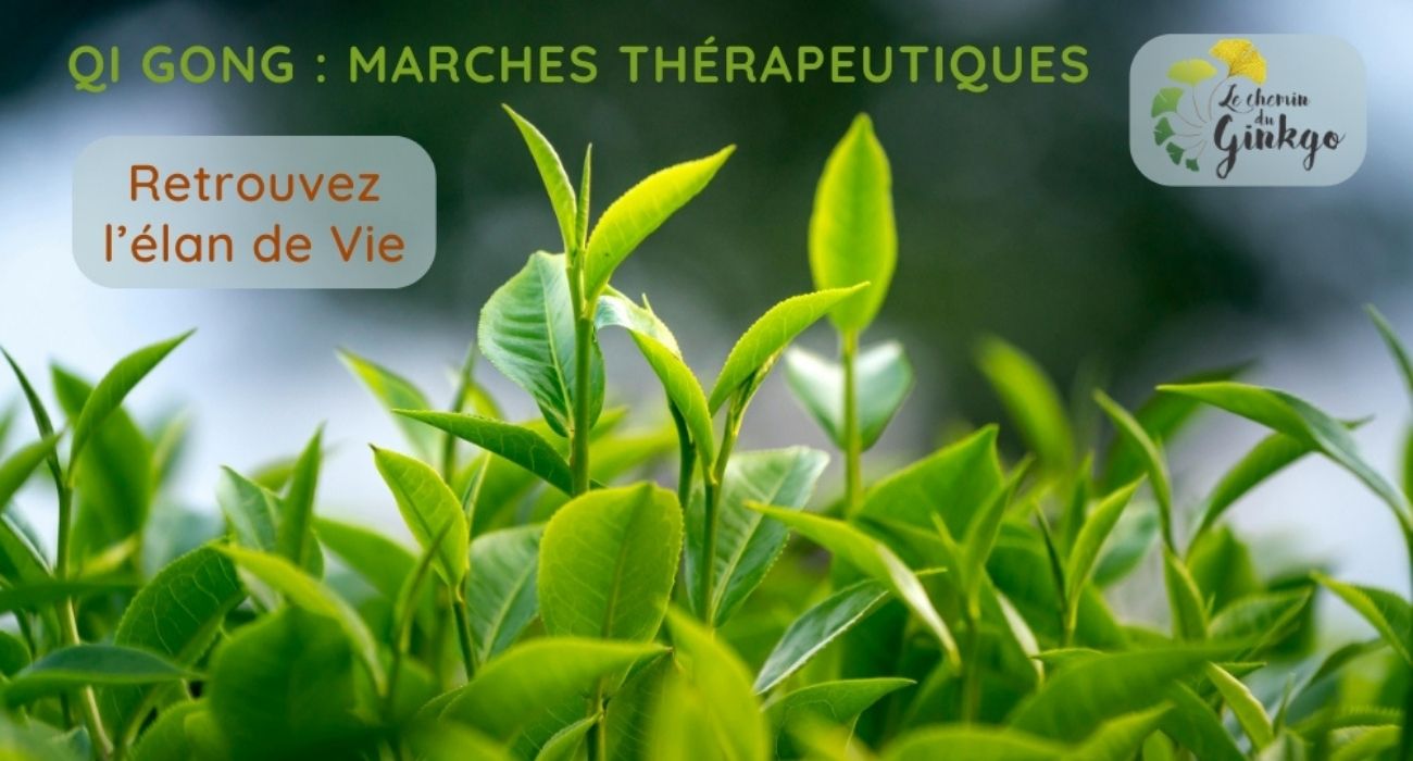 Stage Qi Gong d'été | Marches thérapeutiques