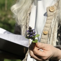 Permaculture & Plantes Sauvages Comestibles