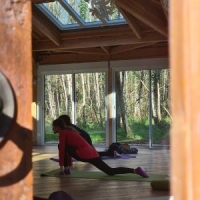 Stages de Yoga