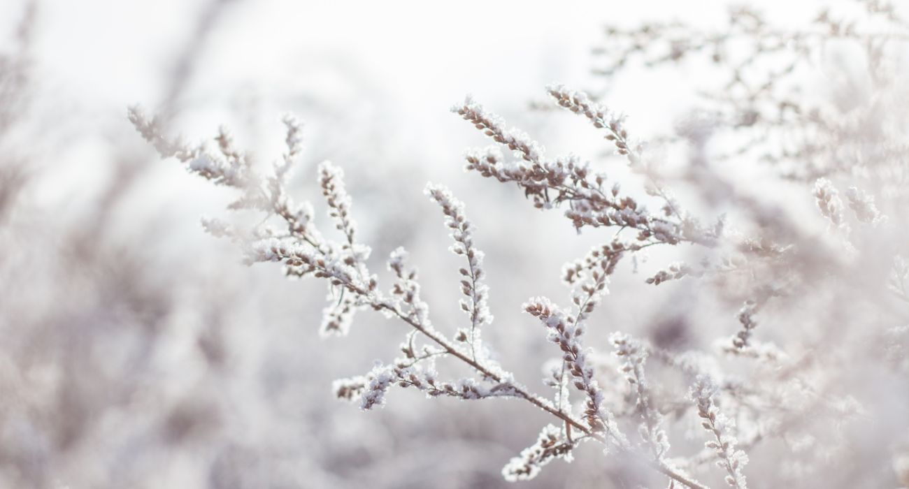 retraite silencieuse hiver