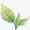 3 feuilles