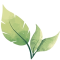 3 feuilles en aquarelle