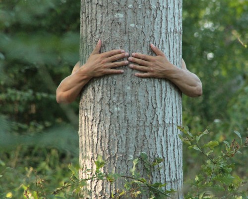 Séjours Libres & Thématiques