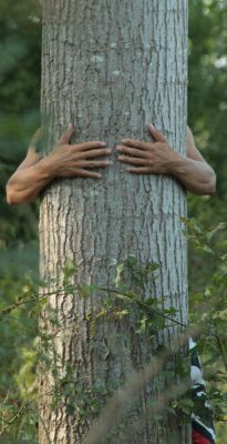 sejours libres et thematiques