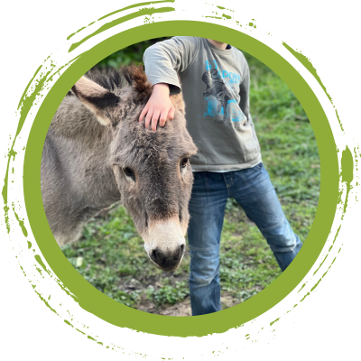 nourrisage des animaux