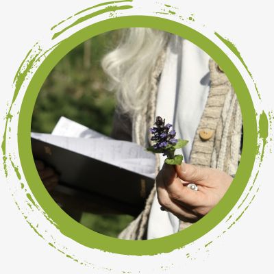 contempler la nature