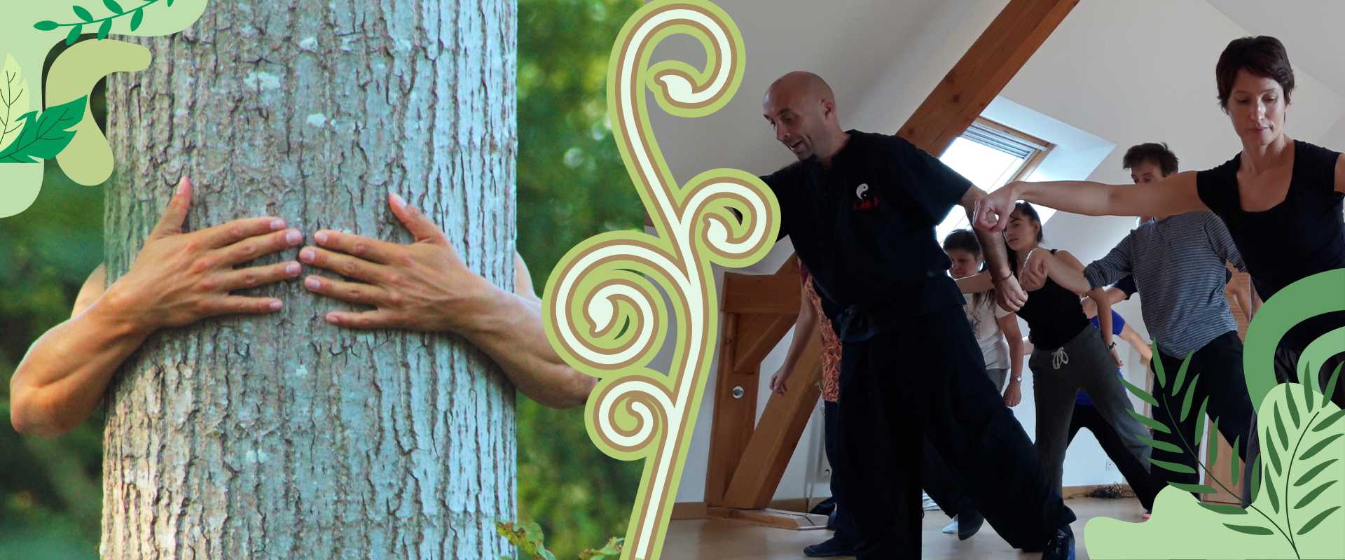 personne qui enlace un arbre et groupe de qi gong