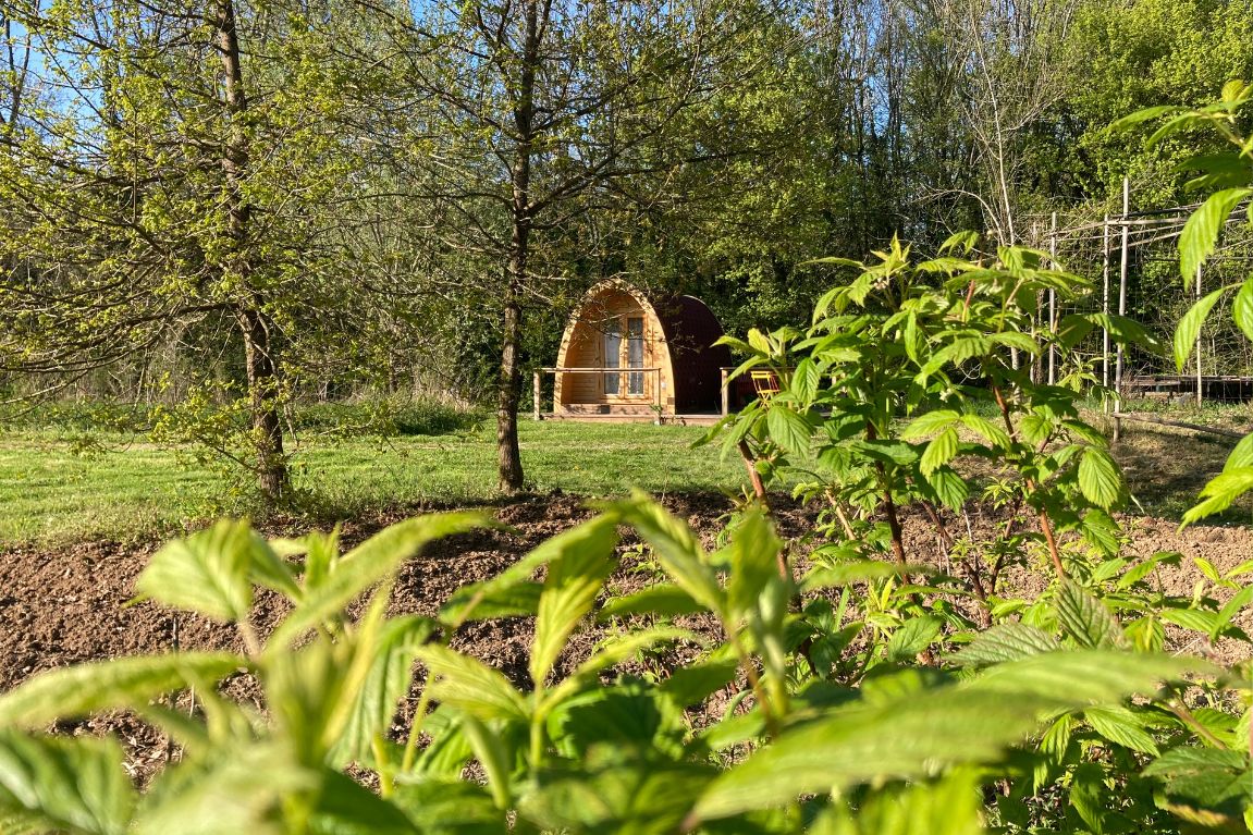 Vue du Poppy Pod
