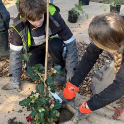 Jardin Vague & Gourmand - des plantes aux multiples saveurs