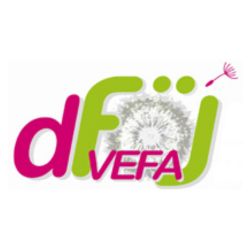 DFOEJ-VEFA - Volontariat Franco Allemand