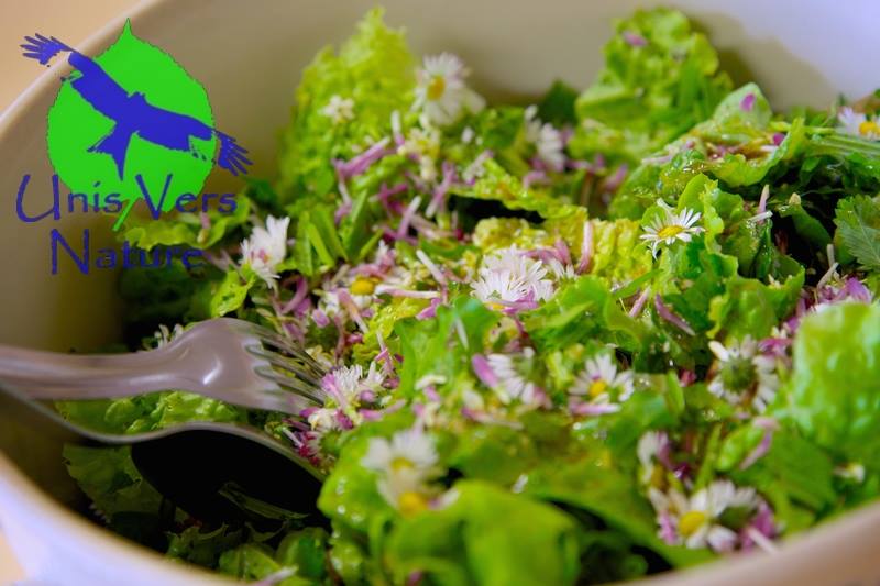  Cuisine et plantes sauvages comestibles - avec Emilie, Unis Vers Nature