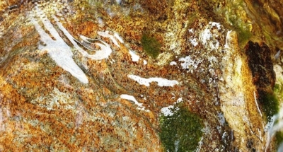 Liens, mémoire familiale & ressources intérieures