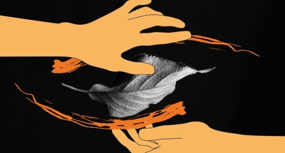 Stage "Immersion dans la Nature"