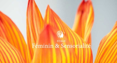 Stage Féminin et Sensorialité