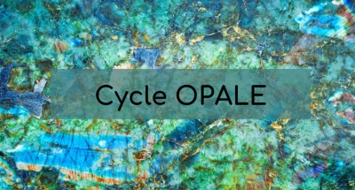 Retraite silencieuse de 10 jours - cycle opale