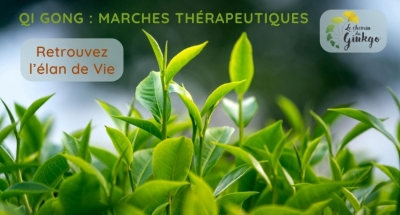 Stage Qi Gong d'été | Marches thérapeutiques